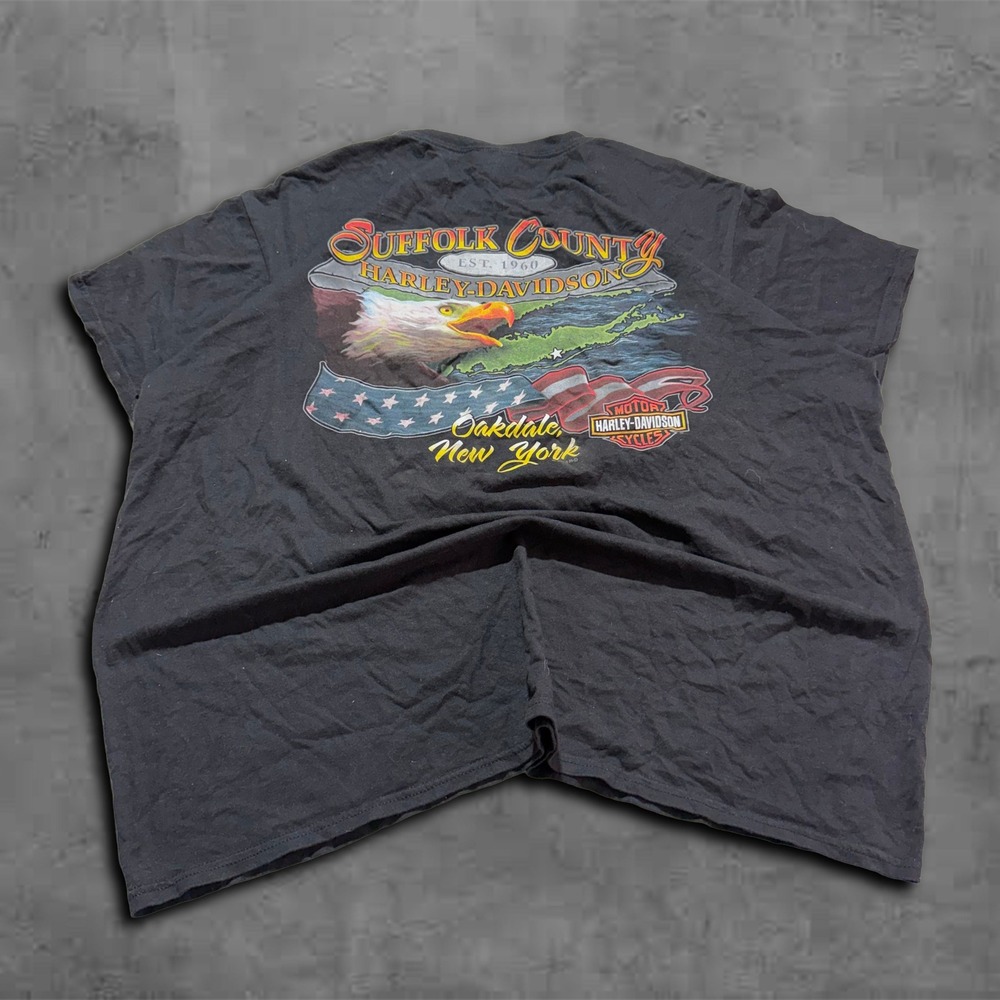 Vintage Y2k Relaxed Harley Davidson Suffolk County Streetwear Tee Shirt
